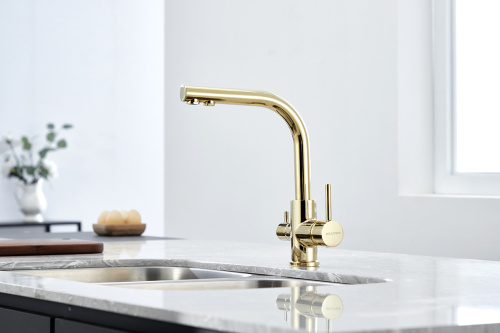 Смеситель для кухни Paulmark ESSEN Es213011-G на мойку золото - фото 2